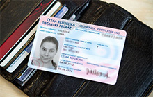 Пмж чехия виза визитера во францию